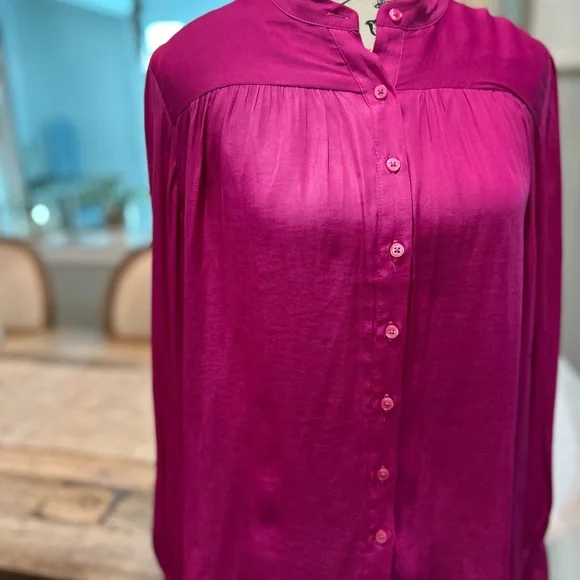 🌷EUC - ANN TAYLOR SHIRRED YOKE SHIRT - Picture 2 of 12